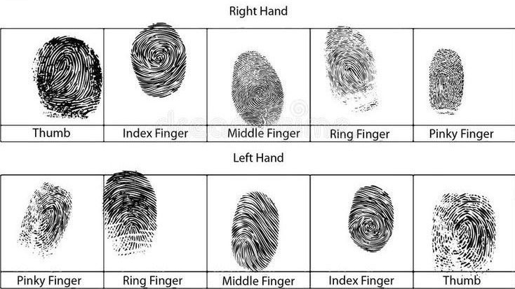 Fingerprint Strip